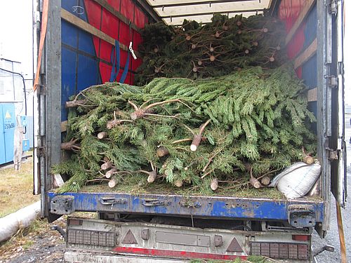 Фото пресс-службы Тюменской таможни